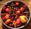 IMG_0572 (2)v.jpg