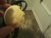 cookie.jpg