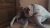 image.gif