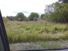 IMG_20190827_150121.jpg