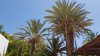 20190828_143327.jpg