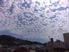 IMG_20190906_144514175.jpg