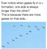 FB_IMG_1567941577089.jpg