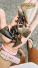 upload_2019-9-8_21-26-42.png
