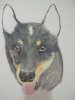 IMG20200322174421.jpg