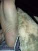 IMG_20240322_200218.jpg