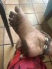 IMG_8886.jpeg