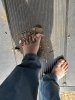 IMG_3342.jpeg