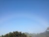 IMG_0456b.jpg