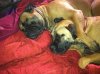 IMG_14132796286077.jpeg