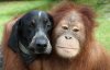 hug-friend-day-38-cute-large-msg-136699838899.jpg