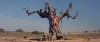 20180321_152810.png