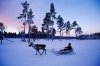 finland.jpg