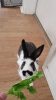 Axalta Munch_1.gif