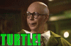 giphy (1).gif