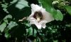 20180709_160350.jpg