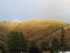 IMG_2746.JPG