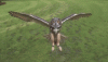 image.gif