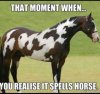 FB_IMG_1535969799982.jpg