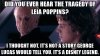 A89FEEFD-EDAE-4868-8DBB-F97CE7599774.jpeg