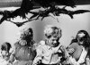 The_Birds_(The_Birds).jpg