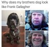 FB_IMG_1551618877152.jpg