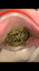 B1CEA14E-25FC-4838-93FF-117675F9A1F3.png
