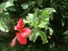 IMG_2107.JPG