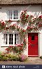 red-climbing-rose-in-flower-on-a-white-cottage-house-burton-bradstock-E2BXX8.jpg