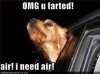 youfarted.jpg