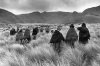 Sebastião-Salgado-–-Ecuador-1982.jpg