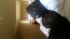 20171126_092203.jpg