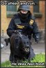 FwPolice-6.jpg