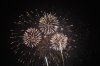 fireworkwhite2 (3).jpg