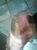 IMG_20160819_53427.jpg