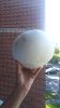 IMG_20160909_36785.jpg