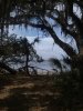 cumberlandisland.jpg