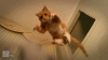image.gif