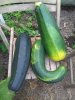 IMG_20190731_175441.jpg