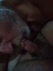 VideoCapture_20190525-053700.jpg