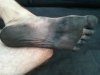 IMG_20190816_100501.jpg