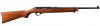 Ruger 10-22.jpg