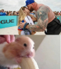 bqqpe6zu91x31.png
