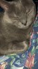 389B0BAE-39CE-439D-9DF1-6AFD24BA1E53.jpeg