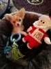 IMG-20191202-WA0000.jpg