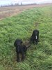 IMG-20191213-WA0014.jpg
