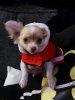 IMG-20191219-WA0004.jpg