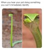 fv3vU0oUva6rtagnurwdh_04xRr_hU-y2le-fvZd5mw.jpg