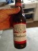 IMG_20191224_150653269.jpg