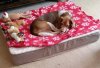 IMG_20200102_084517.jpg